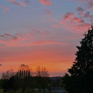 Meet your Posher, Cherry